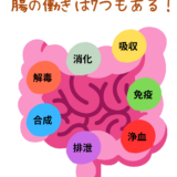 わたしたちの大切な腸には”7つの働き”がある