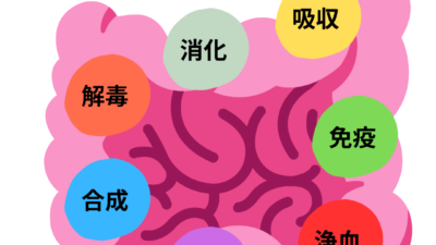 わたしたちの大切な腸には”7つの働き”がある